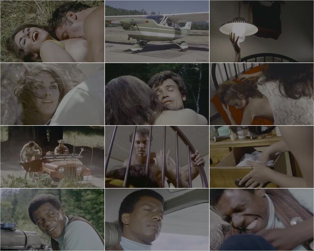 Vixen (1968) 1080p Preview