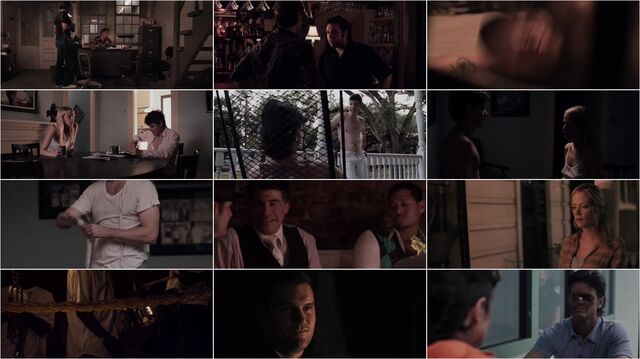 Brawler 2011 Preview