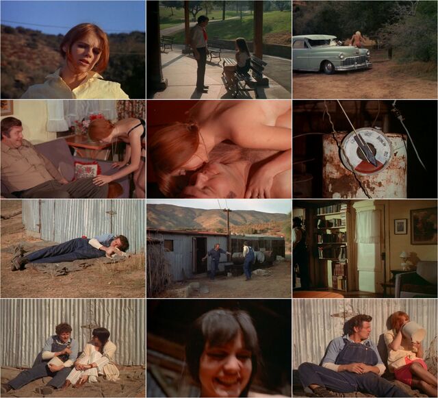 Tobacco Roody 1970 Preview