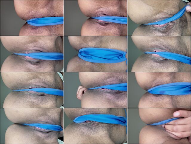 Let Mommy Sit On Your Face Preview